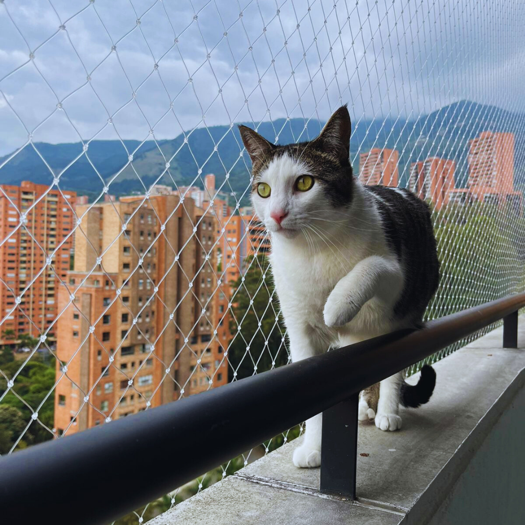 mallas-de-seguridad-mallas-para-gatos-y-perros-mallas-de-seguridad-para-balcones-mallas-hogar-y-armonia